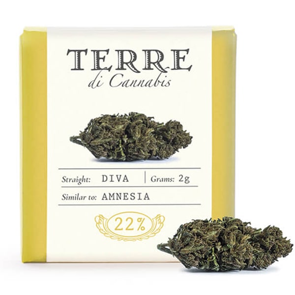 Terre Di Cannabis Diva – 2gr.